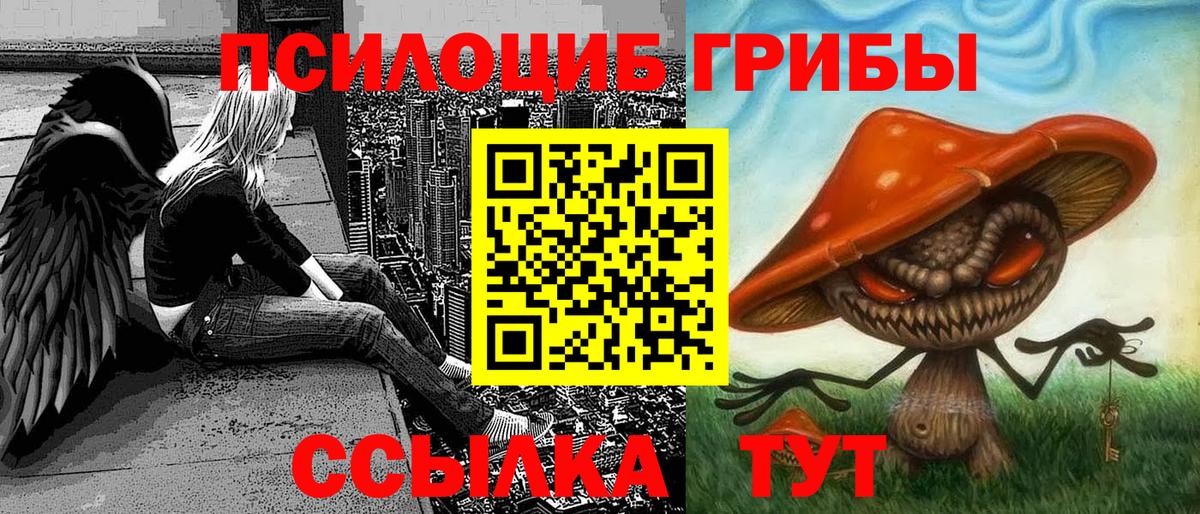 Псилоцибиновые грибы Psilocybe Выкса