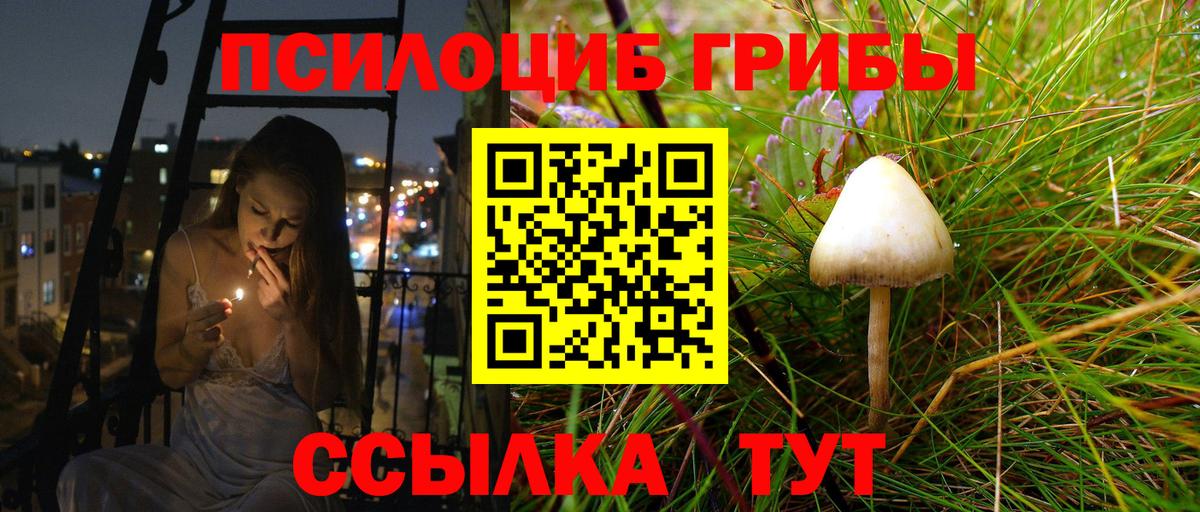 Псилоцибиновые грибы Psilocybine cubensis  Вход с VPN  Выкса 