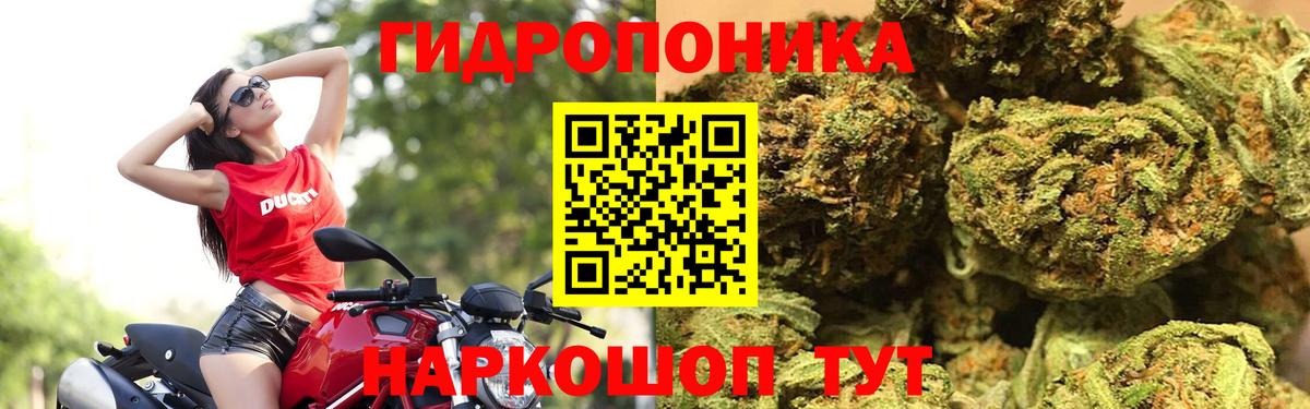 Бошки марихуана индика Выкса